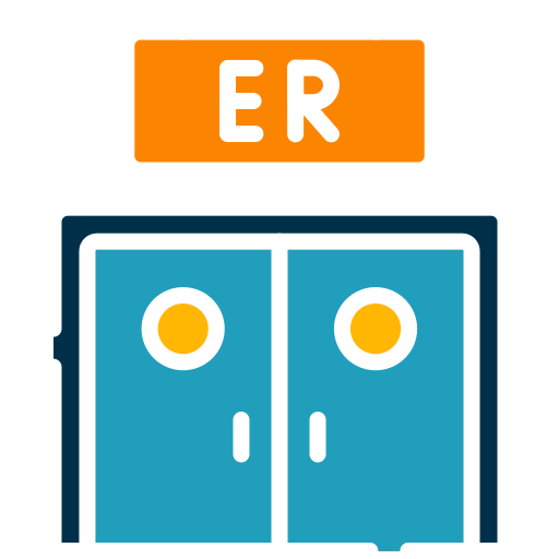 emergency wordpress support 1